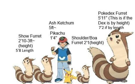 furret size.